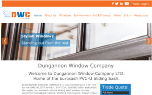 Dungannon Window Company